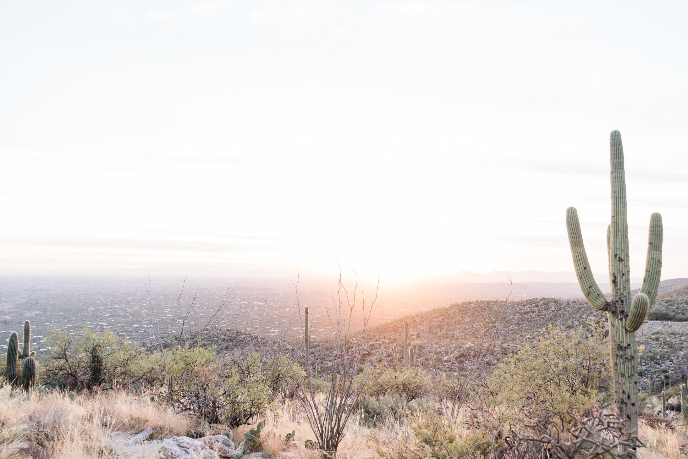 Beautiful Sunset View in the Desert